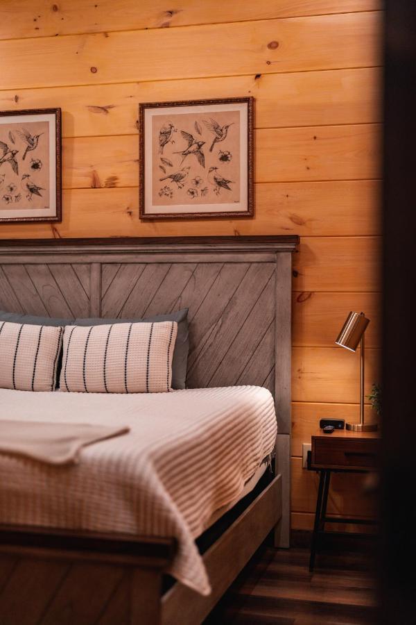 New Cozy Mountain Cabin Hot Tub Near Downtown Gatlinburg Esterno foto